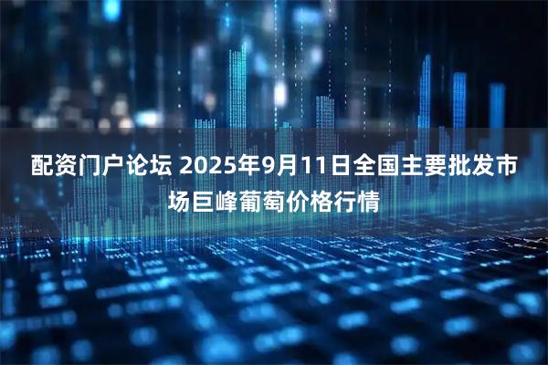 配资门户论坛 2025年9月11日全国主要批发市场巨峰葡萄价格行情